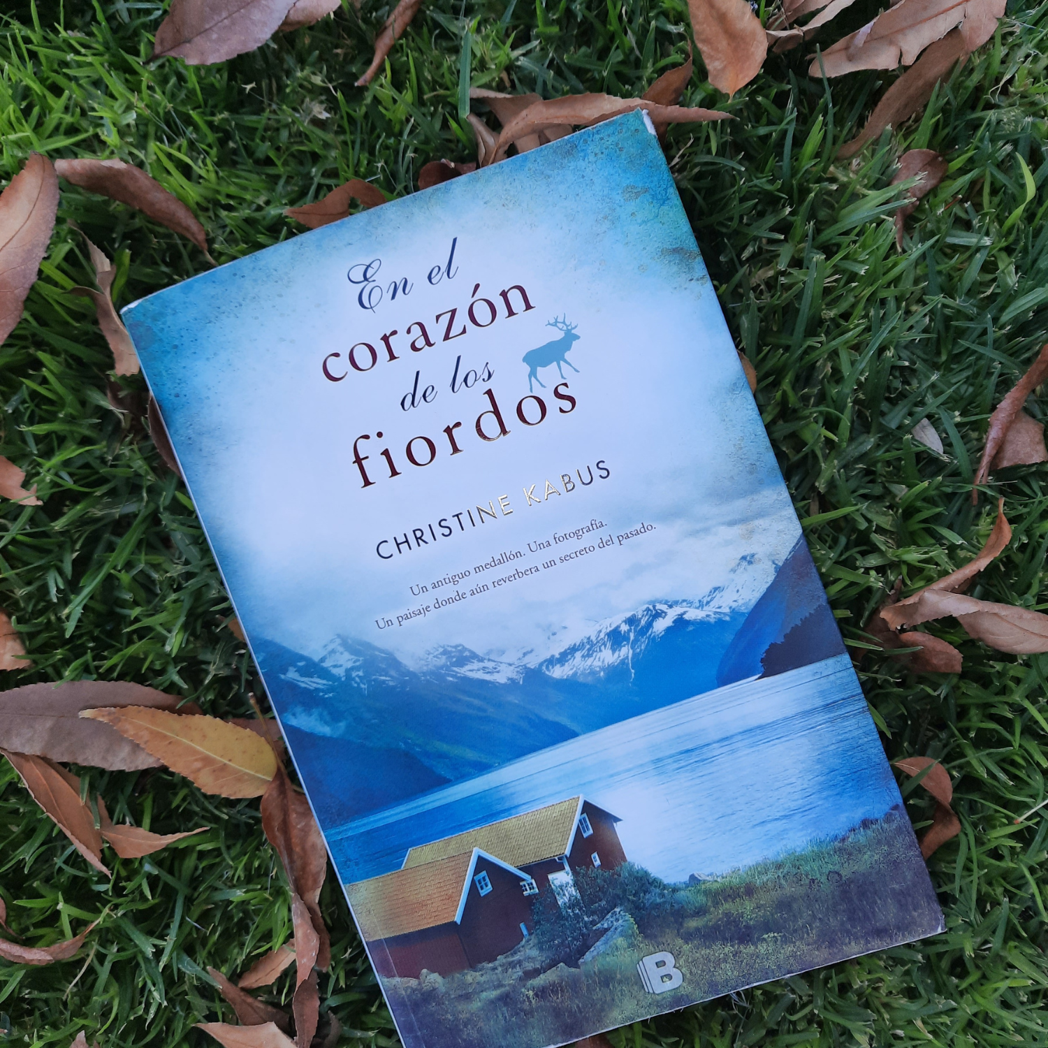 Lee más sobre el artículo “En el corazón de los fiordos”, de Christine Kabus